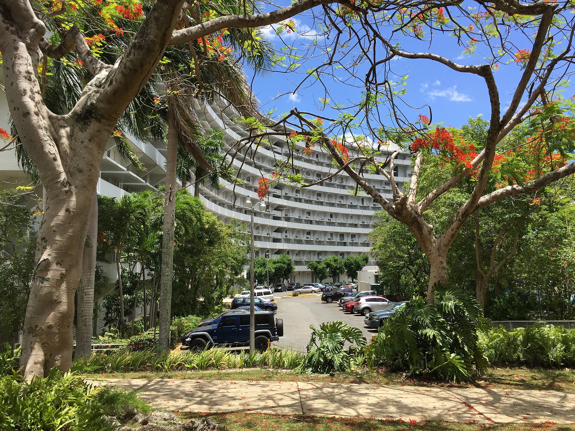 Condominio con balcones, flamboyanes y jardines en Hato Rey